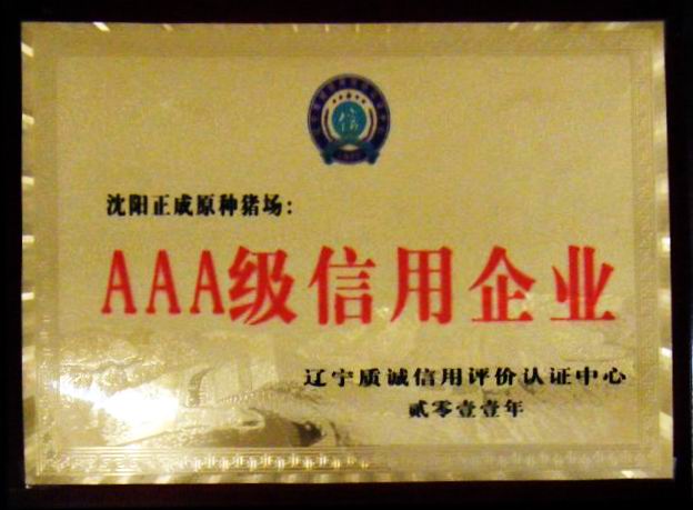 Ϸ(ayx)й¼