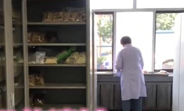 Ϸ(ayx)й¼